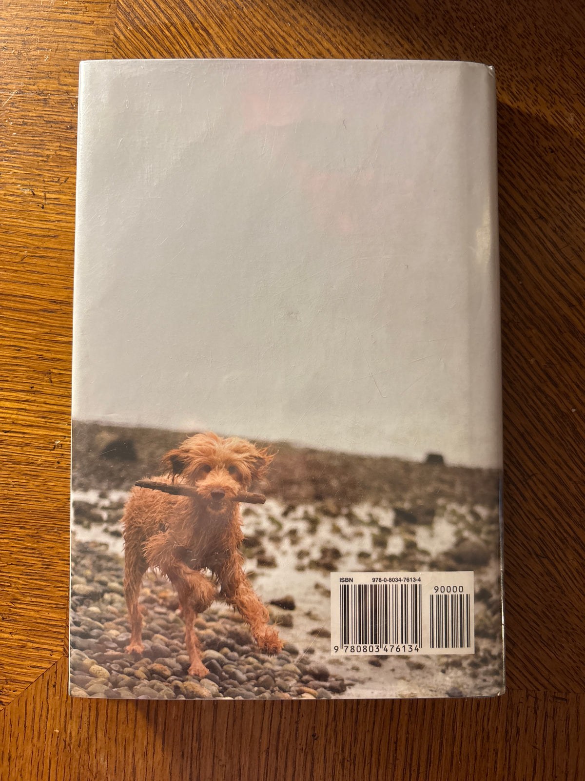 Bed & Breakfast Blues by Susan Ralph