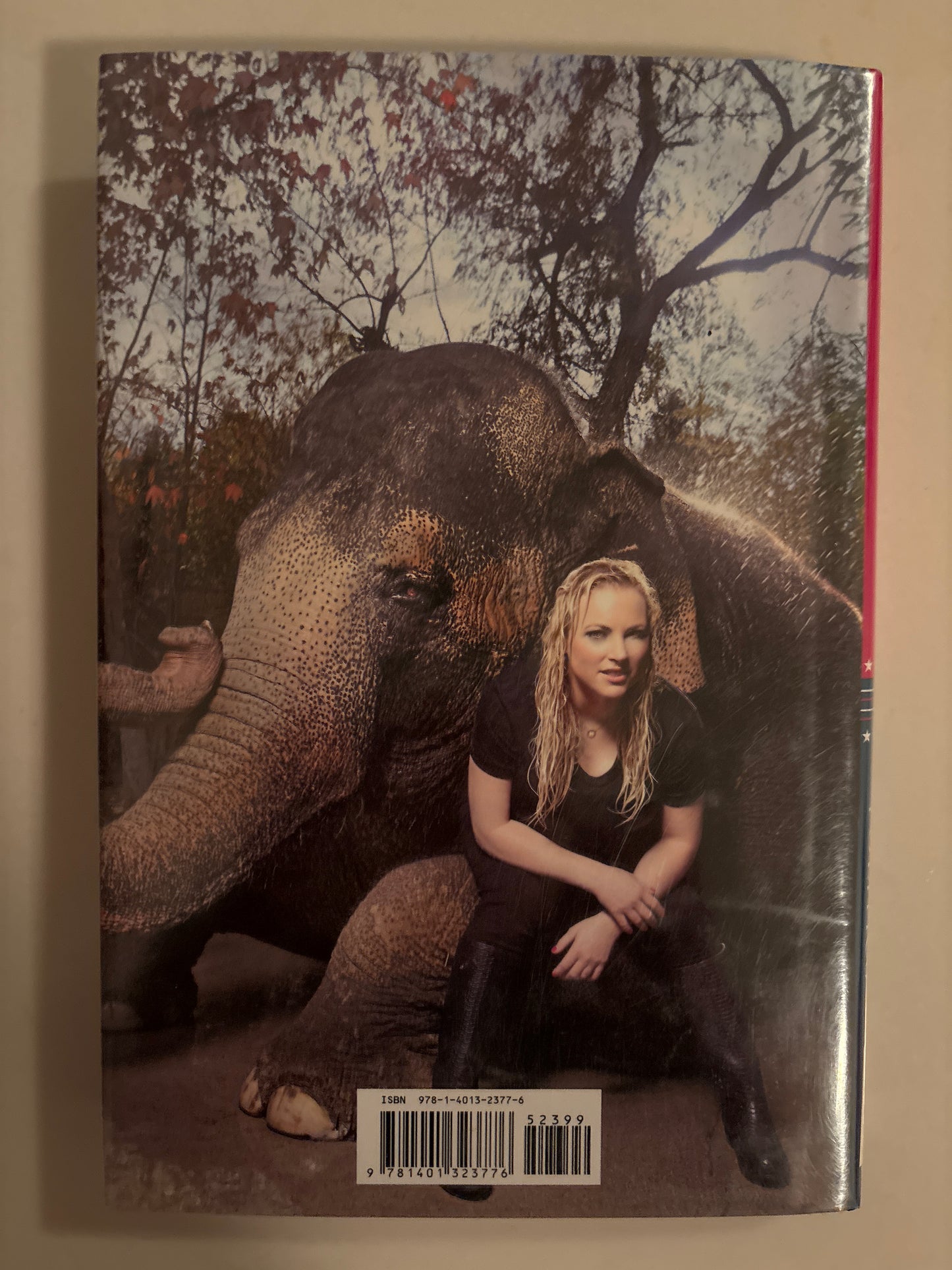 Dirty Sexy Politics by Meghan McCain (Author)