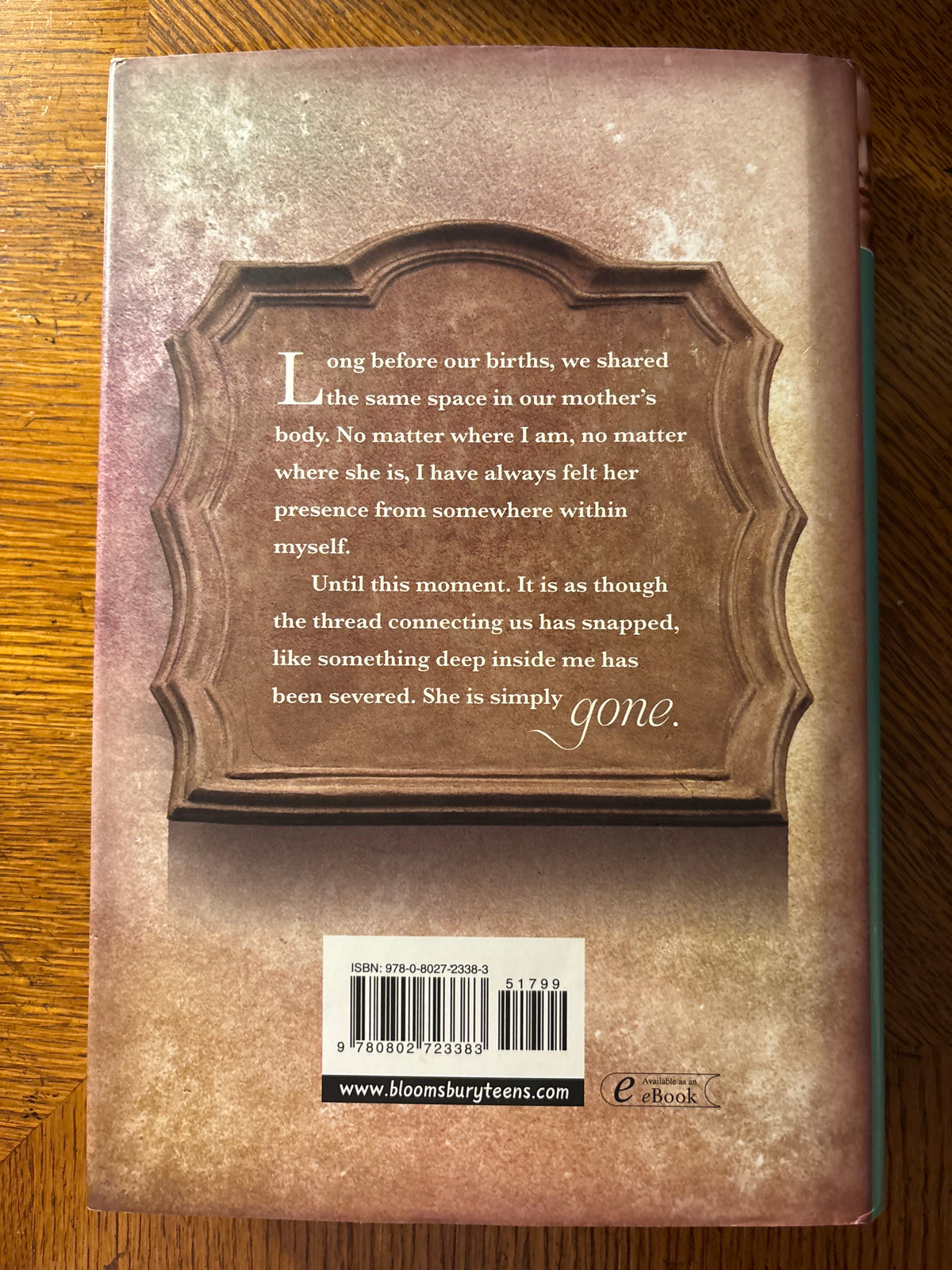 Beautiful Lies by Jessica Warman