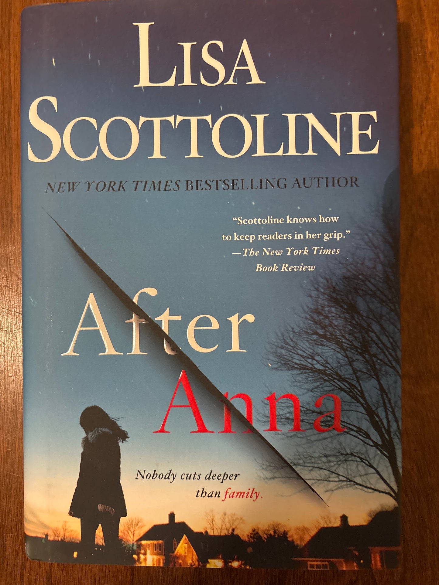 After Anna by Lisa Scottoline