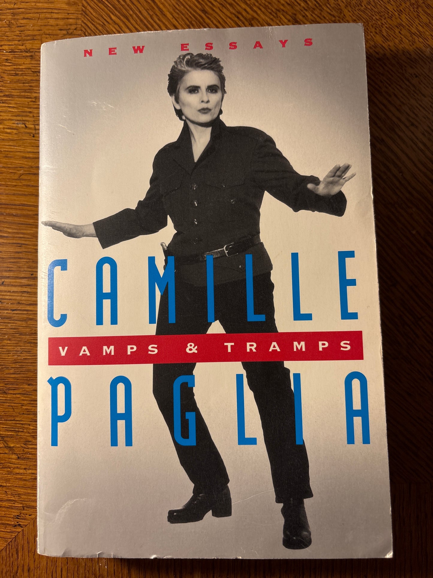 Vamps & Tramps: New Essays by Camille Paglia (Editor)   Used-Good Condition