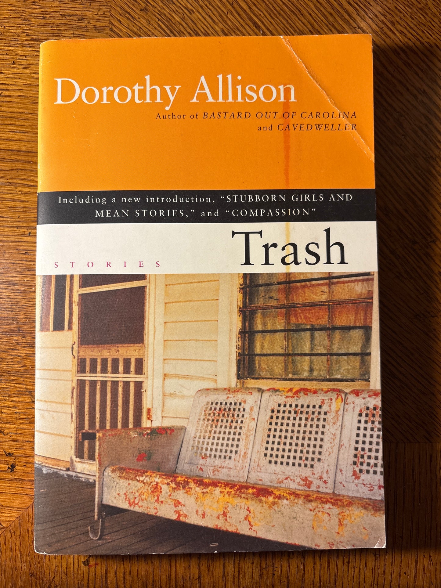 Trash by Dorothy Allison