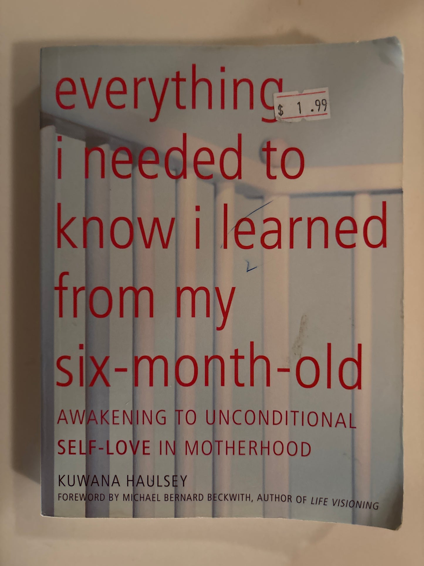 Everything I Needed to Know I Learned From My Six-Month by Kuwana Haulsey